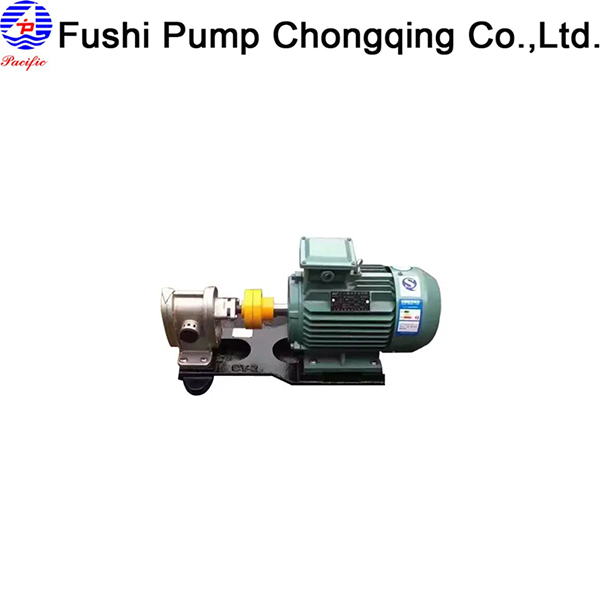 Stainless Steel Gear Lubricating Oil Pump